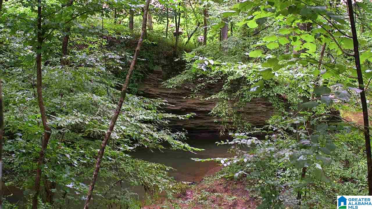 2351 Grants Mill Road, Unit 2351 Birmingham, AL 35210 - Photo 2 of 6