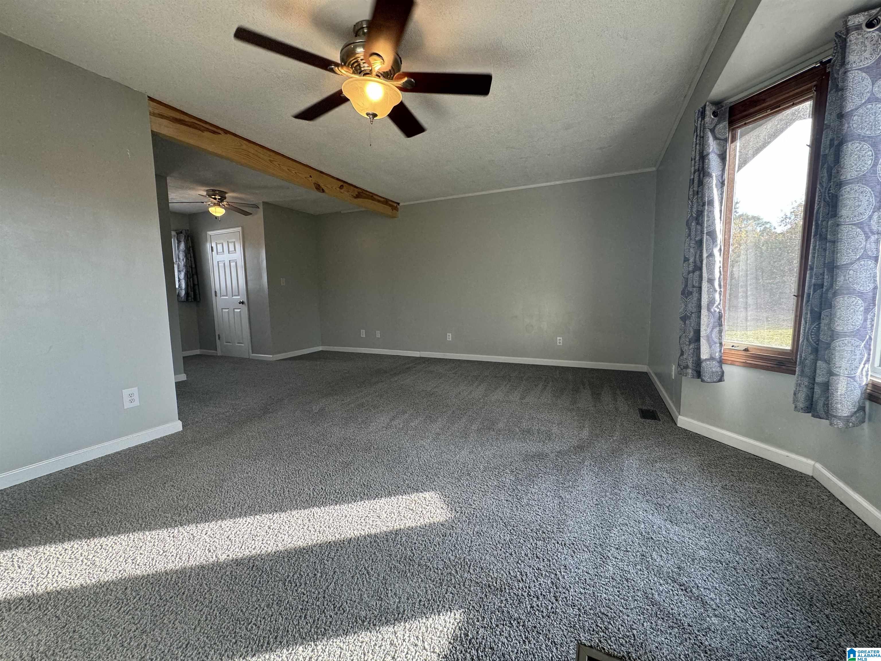 6070 Roy Webb Road Piedmont, AL 36272 - Photo 19 of 68