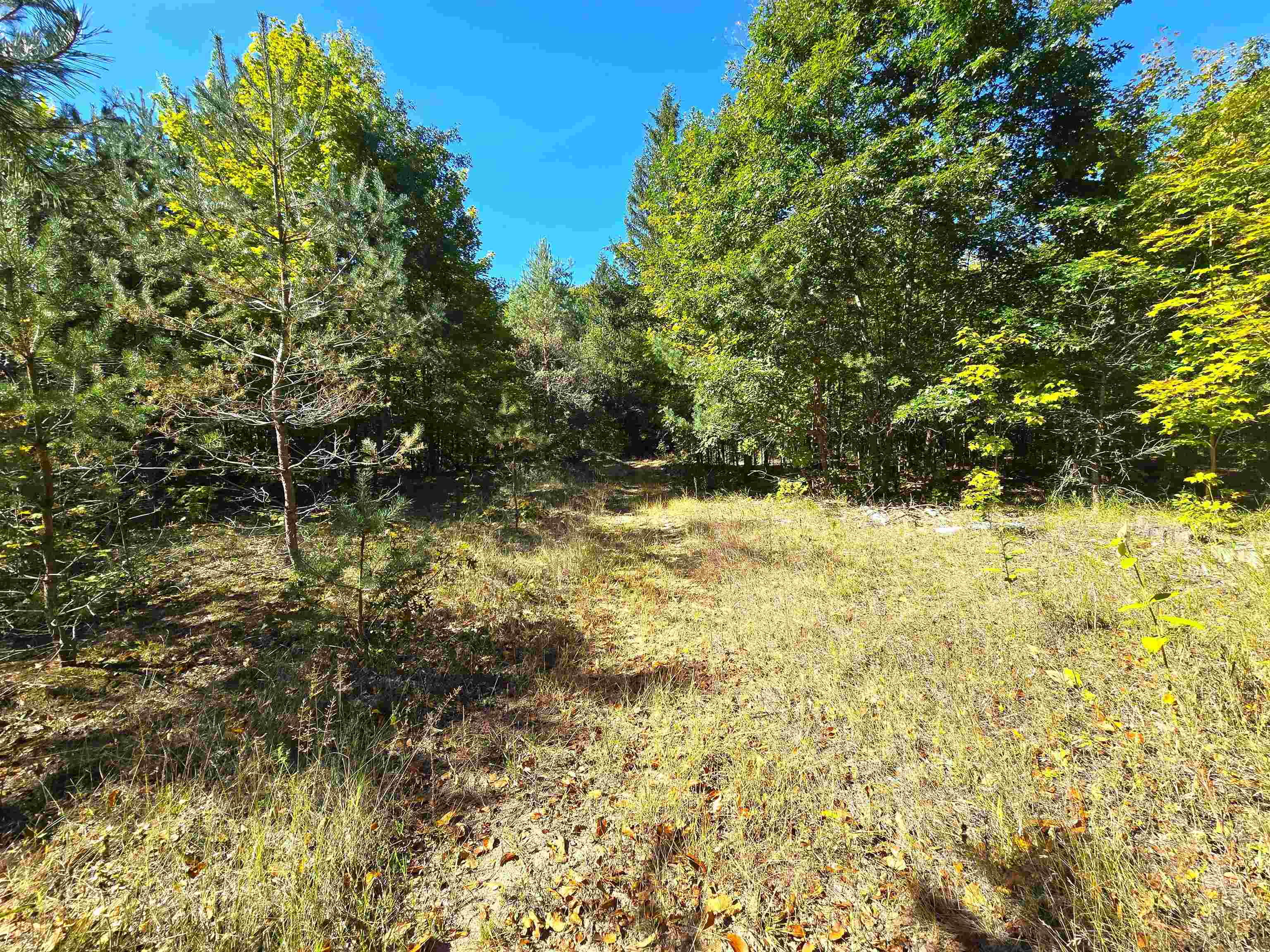 1471 North 7 Road Mesick, MI 49668 - Photo 28 of 37 Gallery Image 28