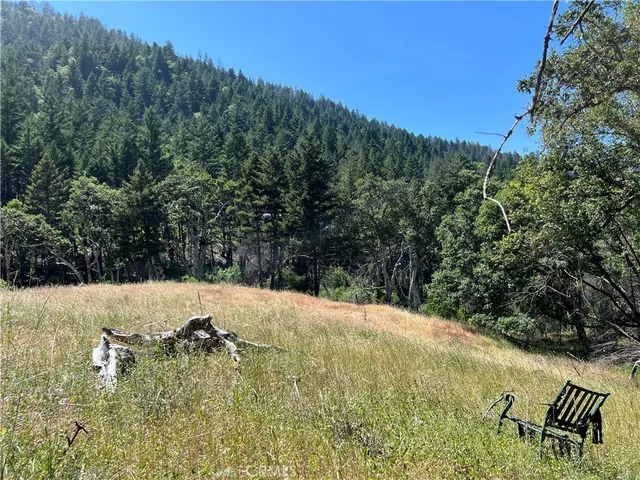 a view of outdoor space and yard