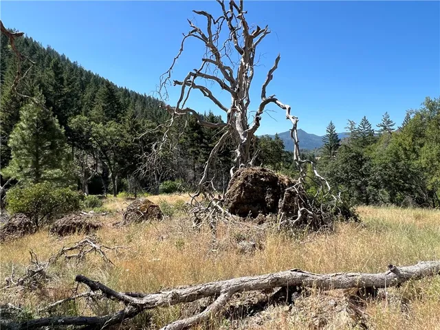 a view of a yard with snow