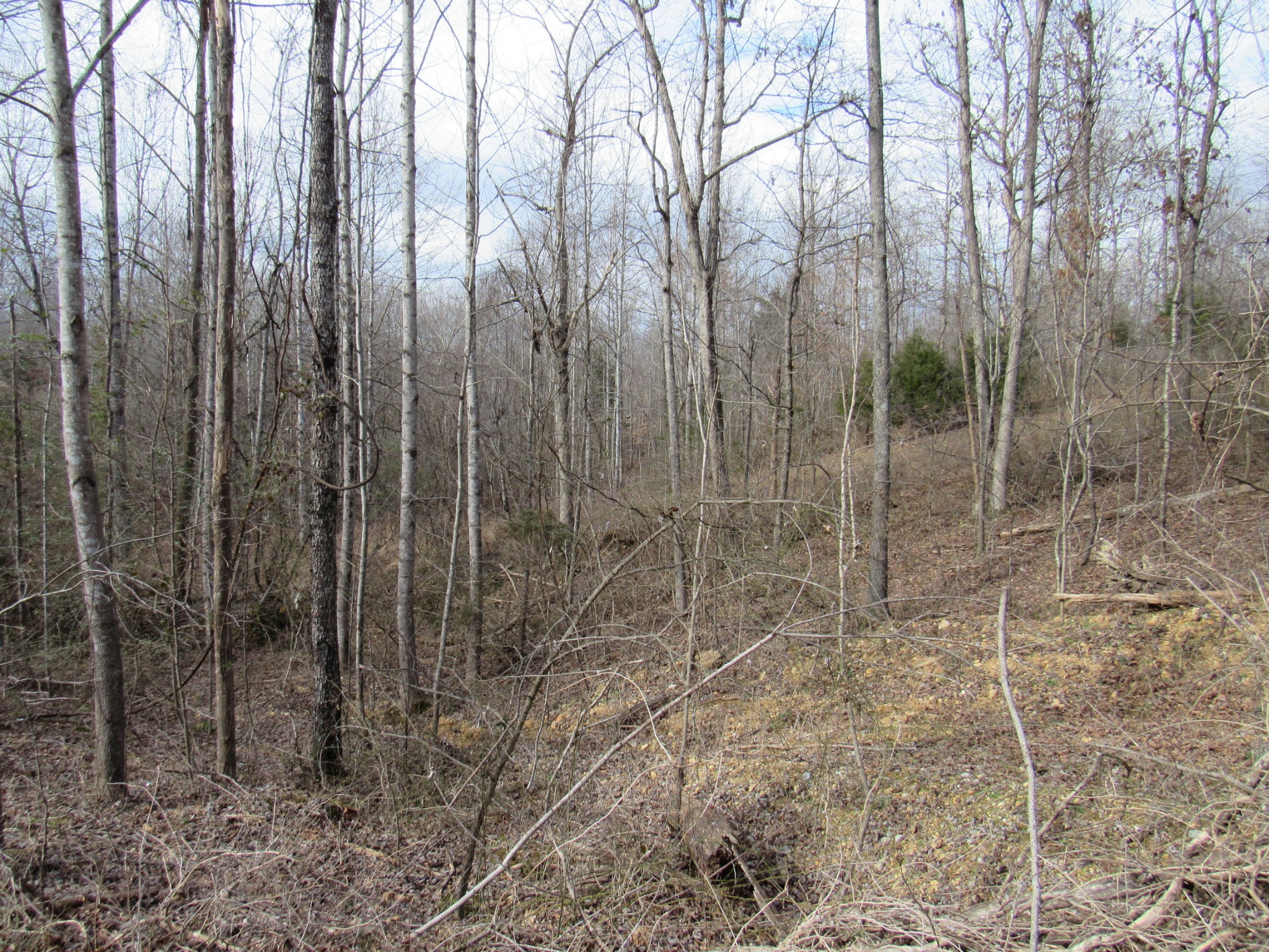 4272 Erin Road McEwen, TN 37101 - Photo 5 of 14 Gallery Image 5