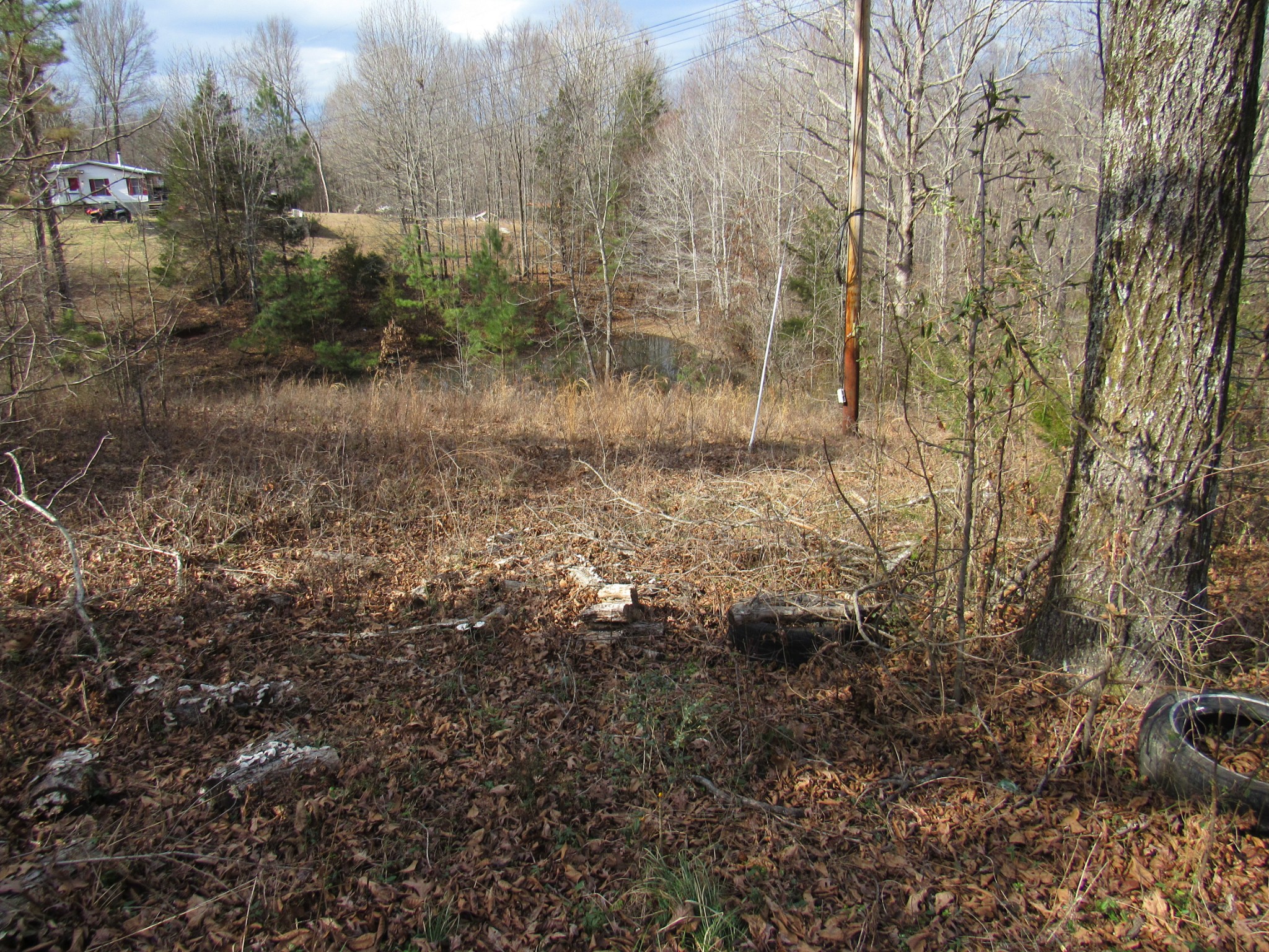 4272 Erin Road McEwen, TN 37101 - Photo 6 of 14 Gallery Image 6