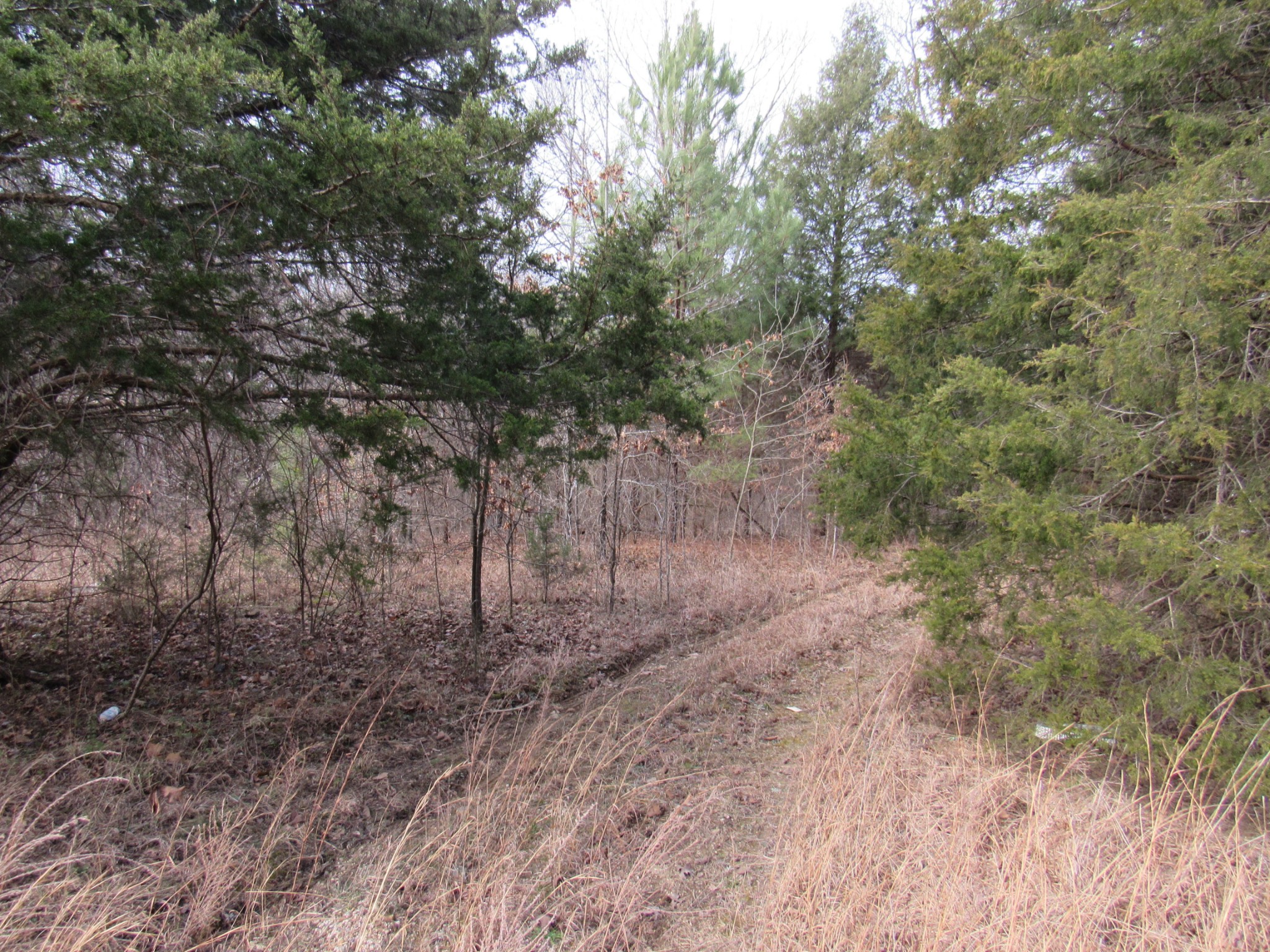 4272 Erin Road McEwen, TN 37101 - Photo 7 of 14 Gallery Image 7