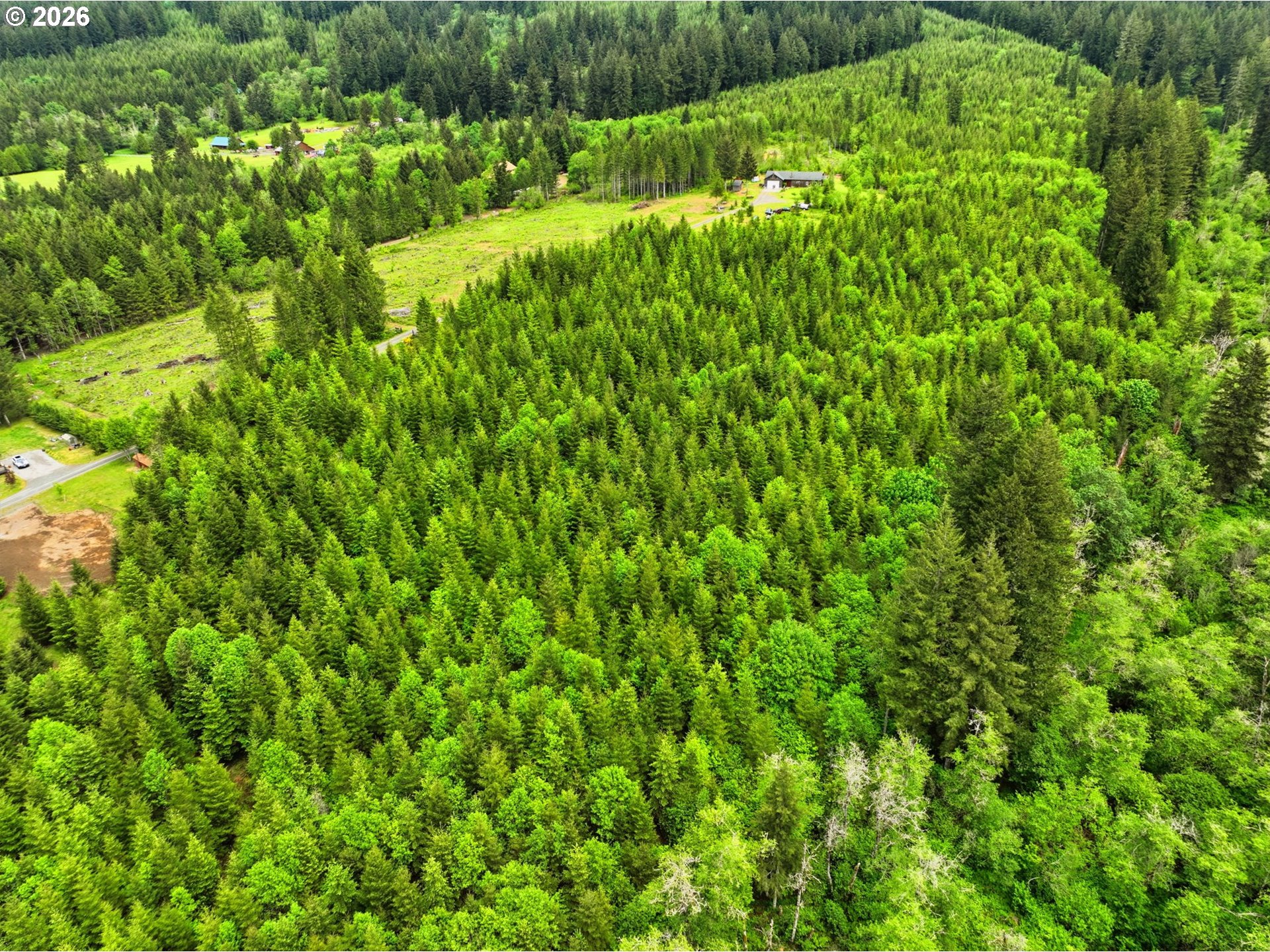 23009 Northeast Dole Valley Road Yacolt, WA 98675 - Photo 34 of 48