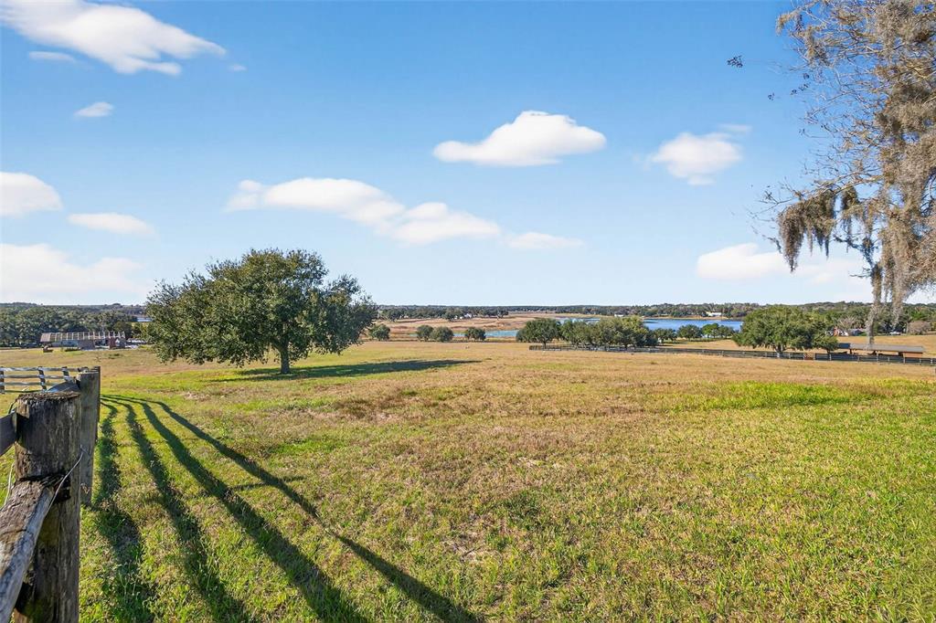 36649 Covington Road Dade City, FL 33525 - Photo 50 of 77