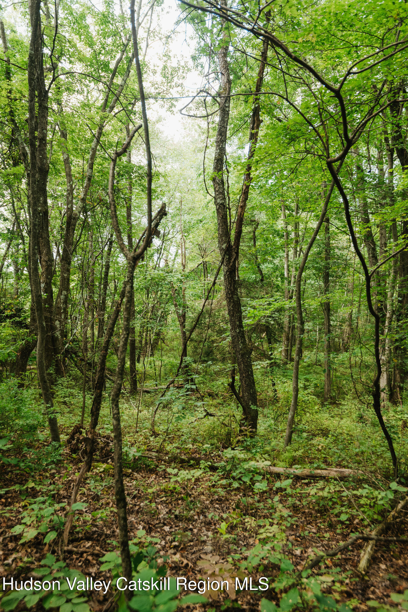 Tbd Plattekill Ardonia Road Wallkill, NY 12589 - Photo 5 of 25 ardonia-18