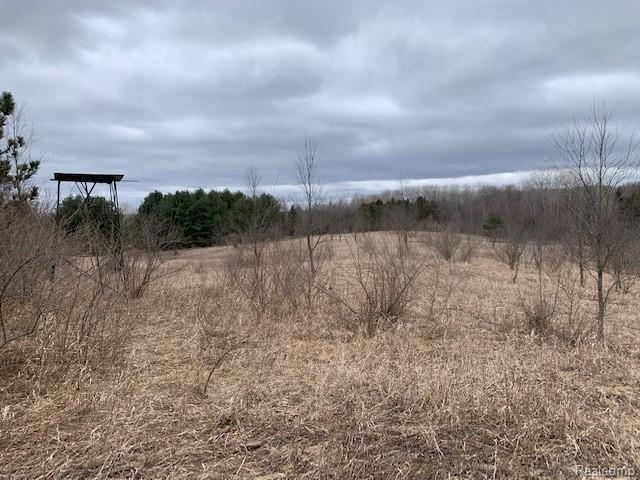 0 Pointer Road West Branch, MI 48661 - Photo 2 of 11