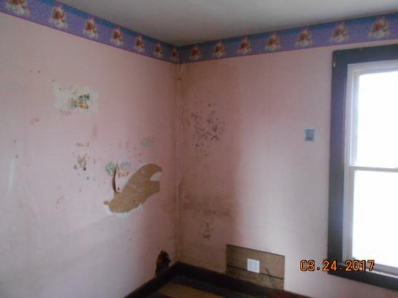 123 Fourth Street Rising Sun, IN 47040 - Photo 11 of 13