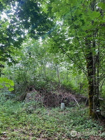 9 East Nightingale Place Belfair, WA 98528 - Photo 2 of 7