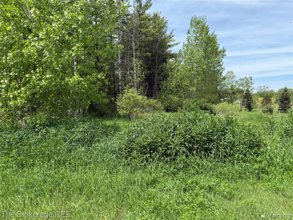 3020 Merwin Road Lapeer, MI 48446 - Photo 28 of 33
