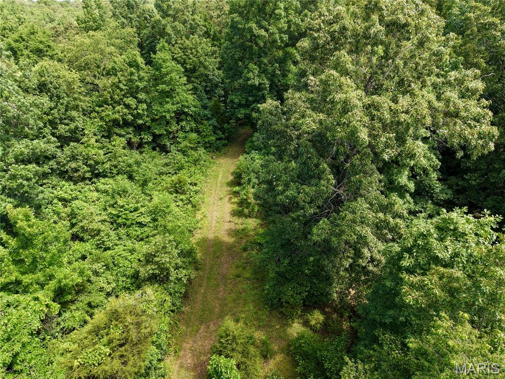6483 Wayne Rte P Lowndes, MO 63951 - Photo 14 of 37
