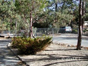 26831 Saunders Meadow Road Idyllwild, CA 92549 - Photo 5 of 8 a view of a pathway with a bench