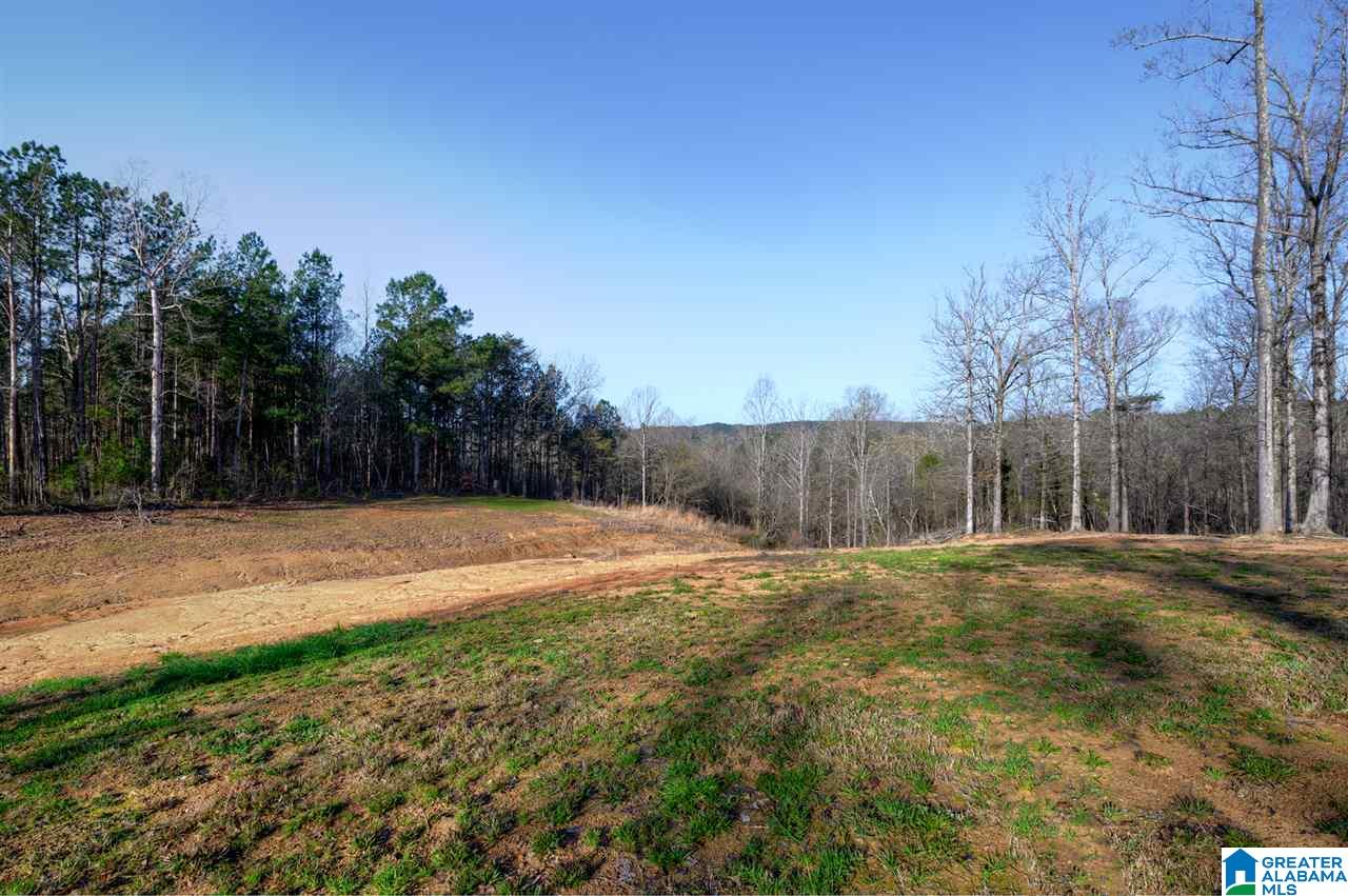 880 Copeland Ferry Road Cordova, AL 35550 - Photo 6 of 31