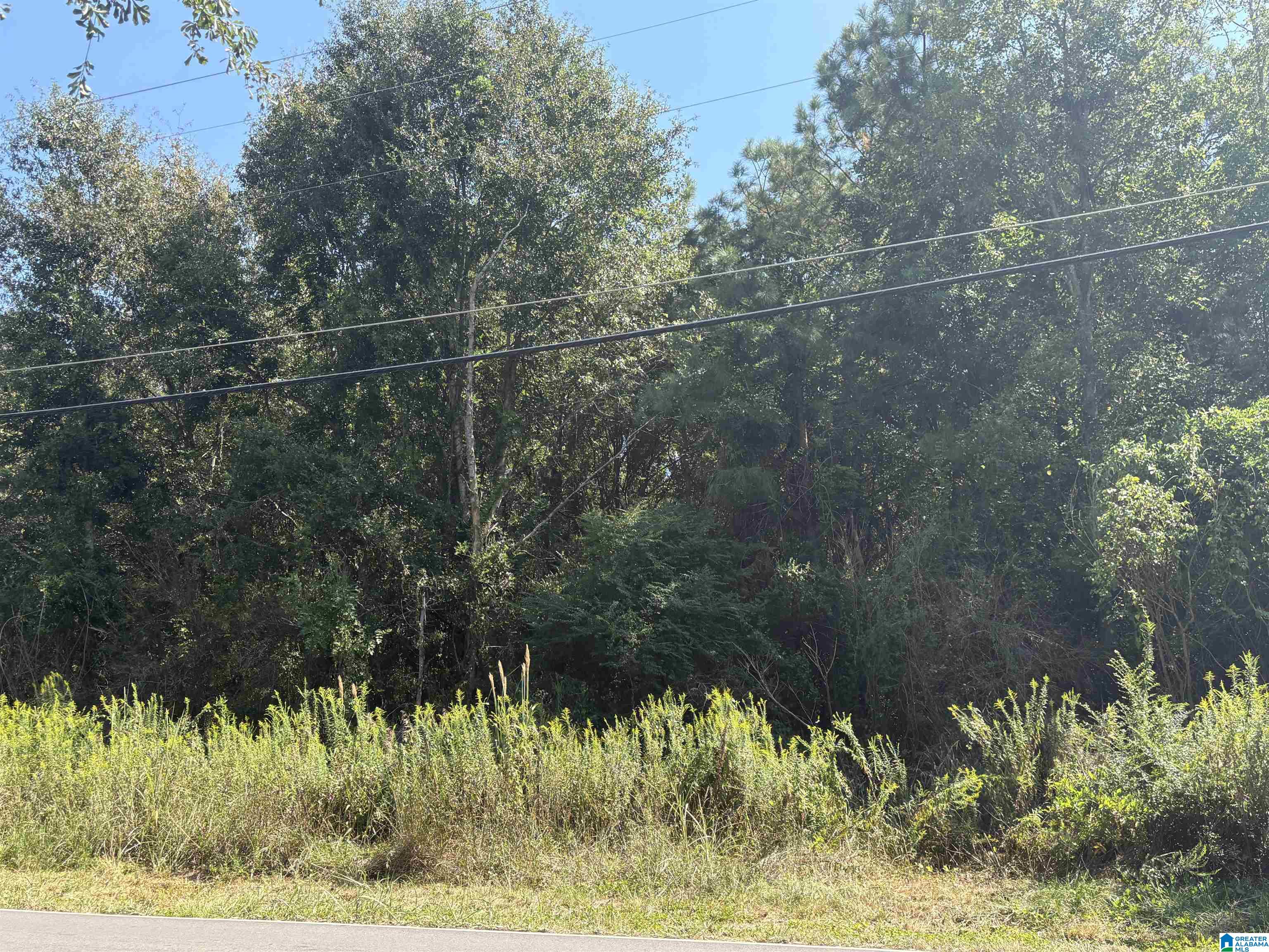 1070 Park Road, Unit 21 &19 Bessemer, AL 35023 - Photo 1 of 1