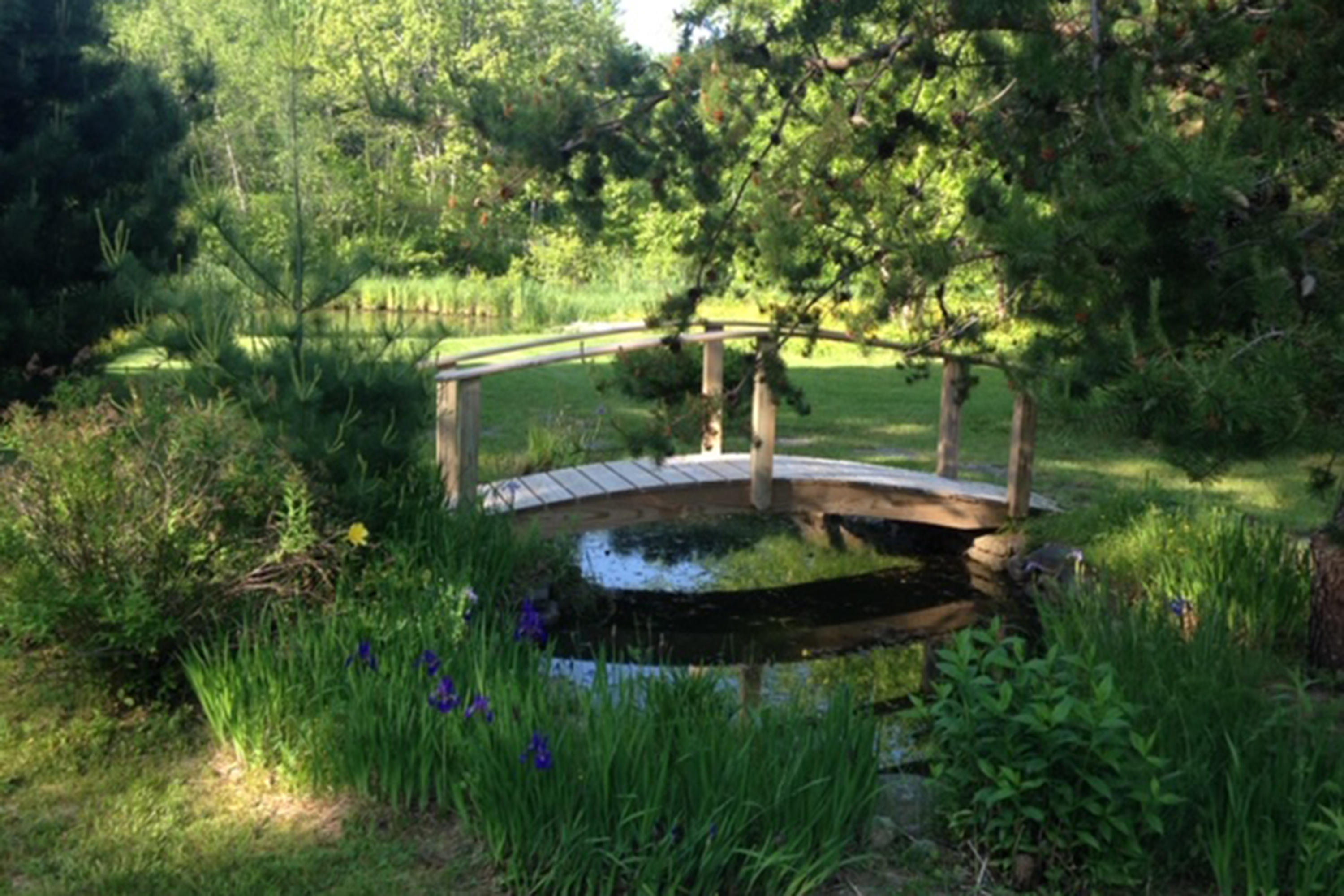 78 Old Cape Road Kennebunkport, ME 04046 - Photo 21 of 48 IMG_3016
