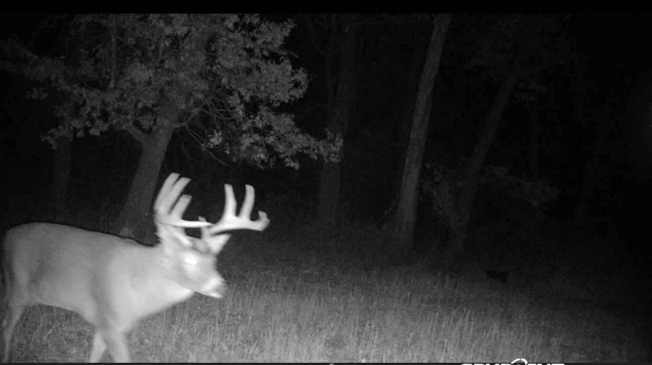 Tbd Bear Road Cushing, MN 56443 - Photo 20 of 42
