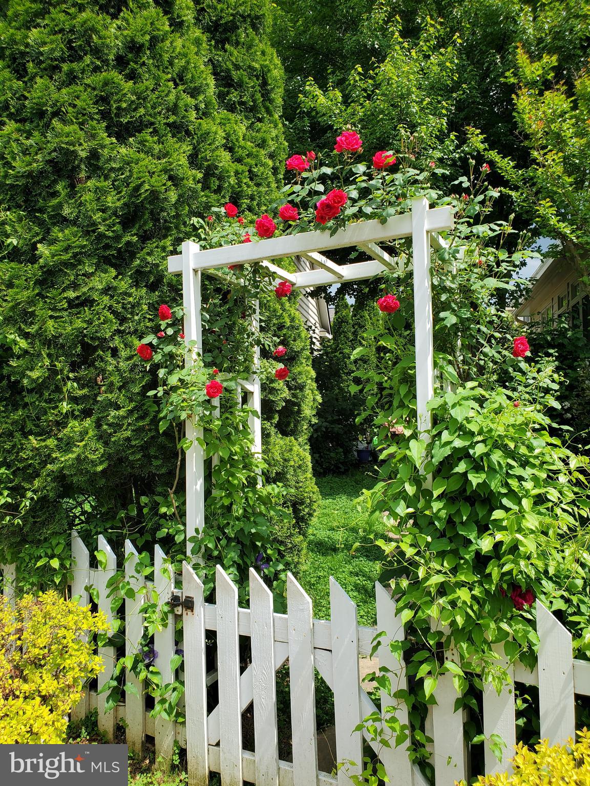 1235 Main Street Gaithersburg, MD 20878 - Photo 71 of 76 Spring photo - entrance to back yard from side