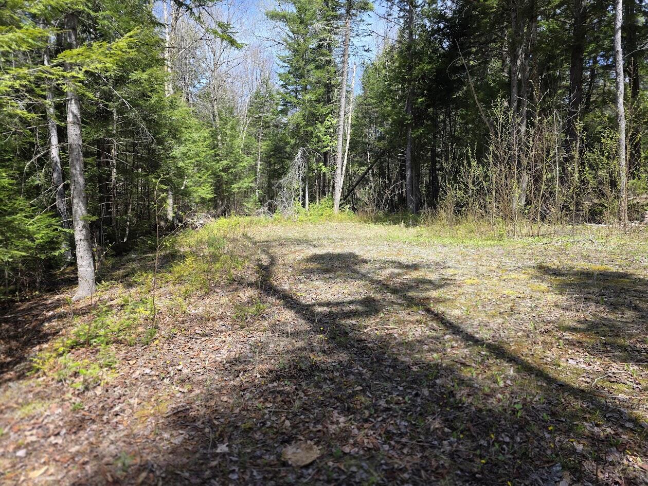 L2 Us Rt 2 Kingman, ME 04451 - Photo 5 of 18 20260513_111610