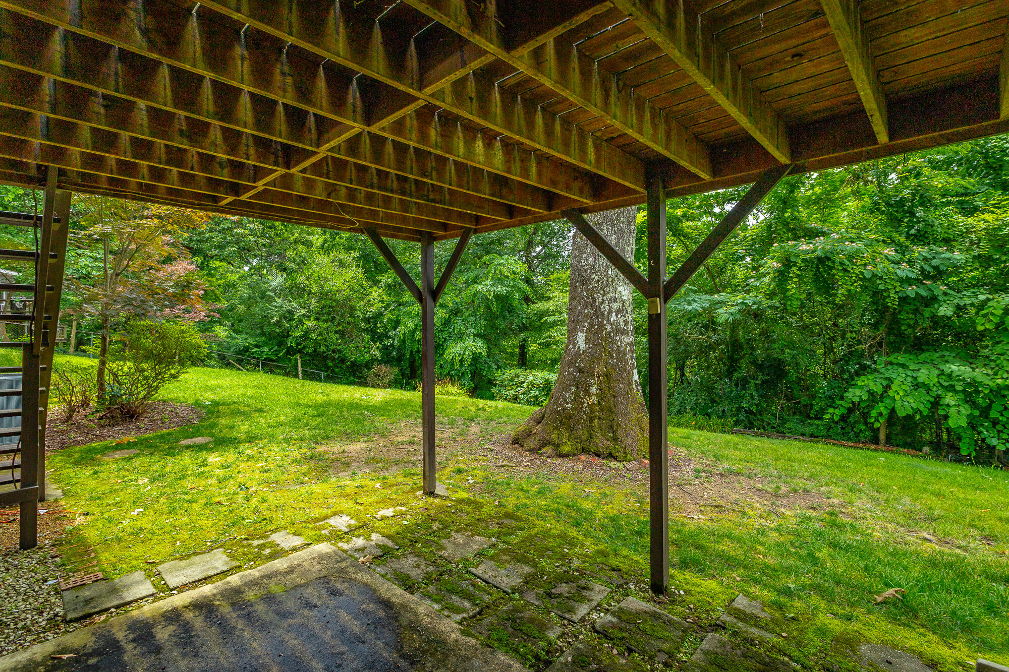 613 Timber Ridge Drive Hixson, TN 37343 - Photo 43 of 48 613 Timber Ridge Dr. HD-49