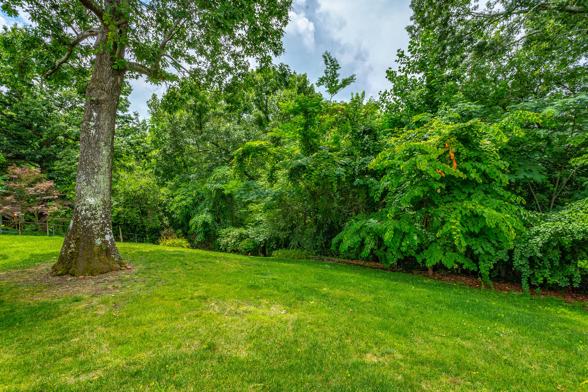 613 Timber Ridge Drive Hixson, TN 37343 - Photo 44 of 48 613 Timber Ridge Dr. HD-50 - Copy