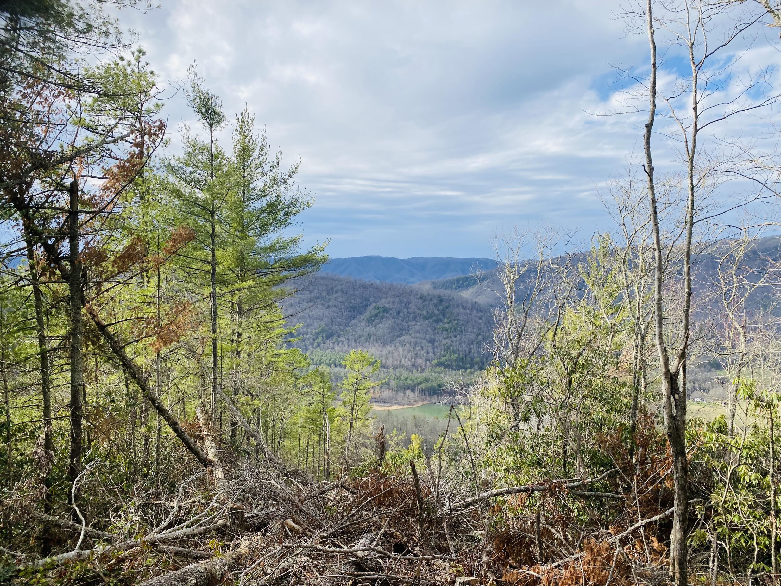 75 Lakeview Drive Butler, TN 37640 - Photo 44 of 84 50F65394-9F42-4175-B129-0212DAA4CAE7