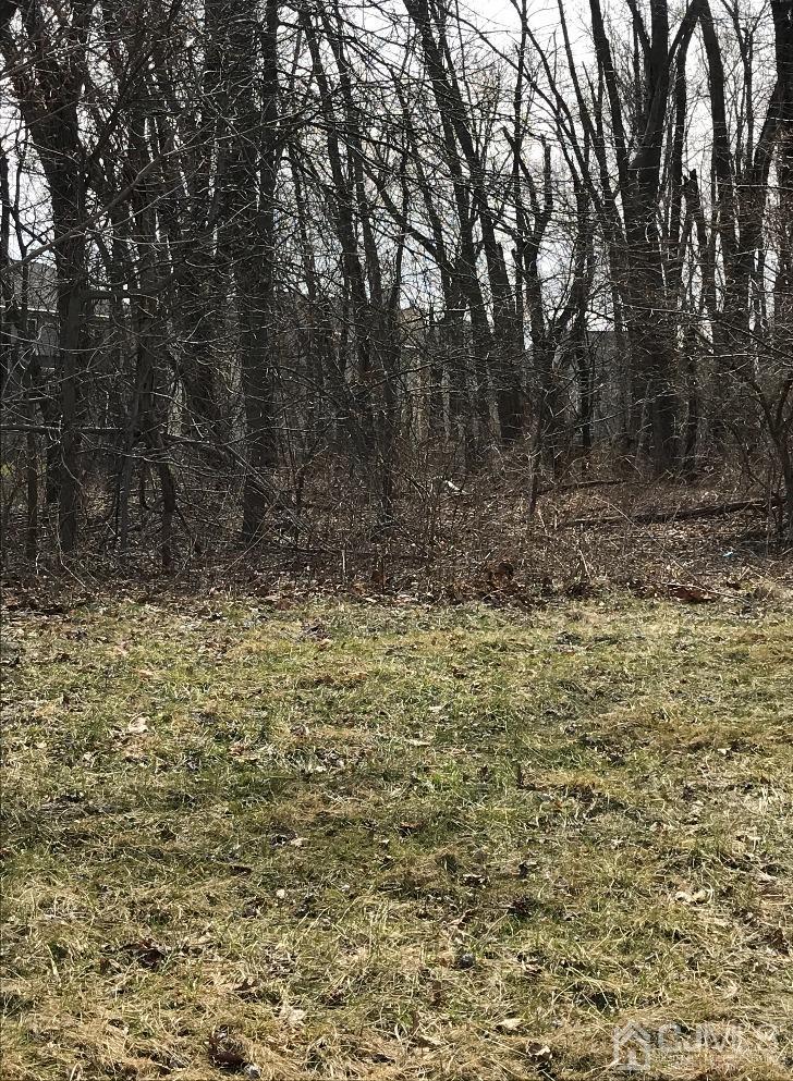 95 Halsey Reed Road Monroe Township, NJ 08831 - Photo 5 of 6 a view of a yard