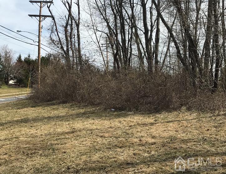 95 Halsey Reed Road Monroe Township, NJ 08831 - Photo 6 of 6 a view of a yard with trees