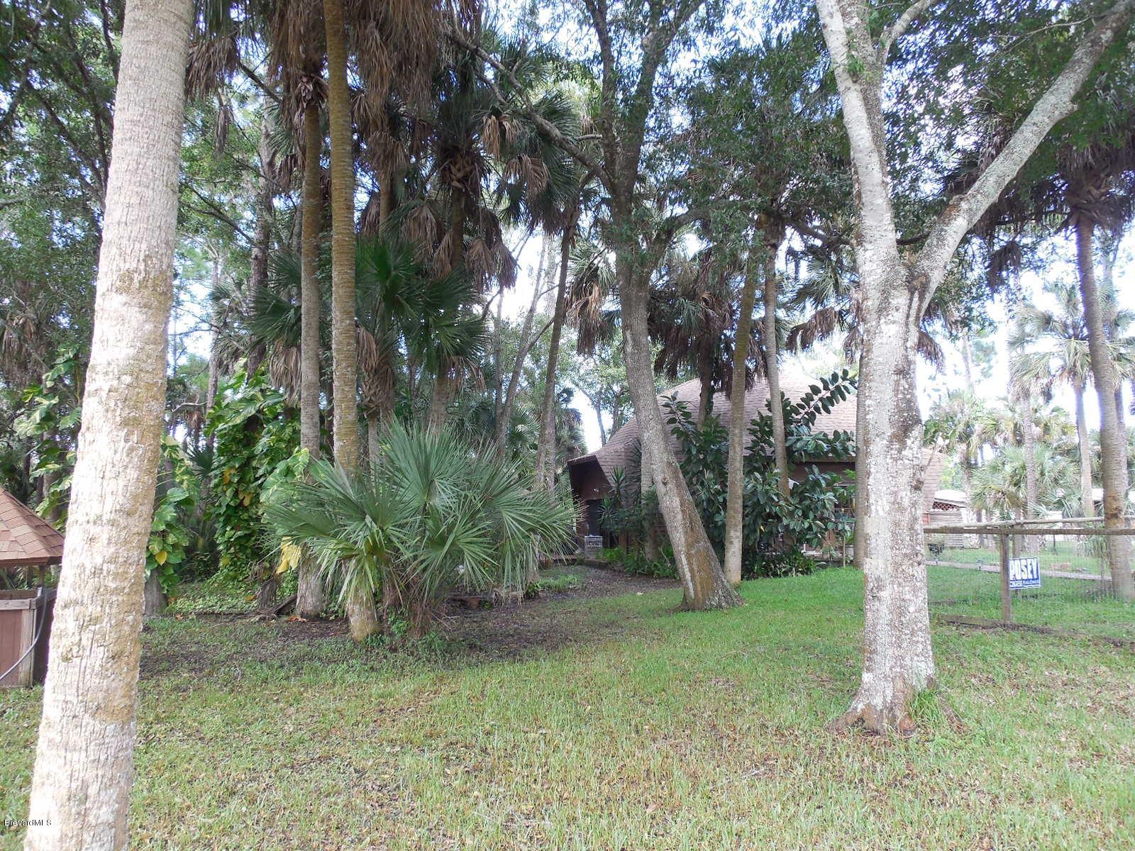 920 Atz Road Malabar, FL 32950 - Photo 39 of 42 Lush, tropical lawn