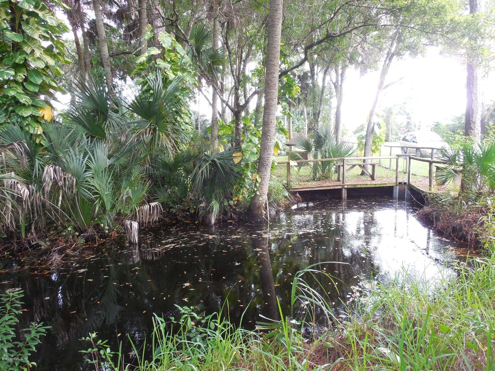 920 Atz Road Malabar, FL 32950 - Photo 40 of 42 Long Stocked Pond
