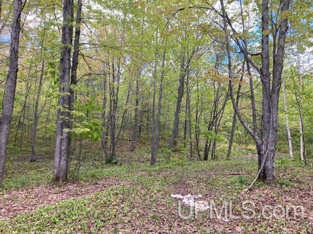 2 Boundary Road Chassell, MI 49916 - Photo 55 of 77