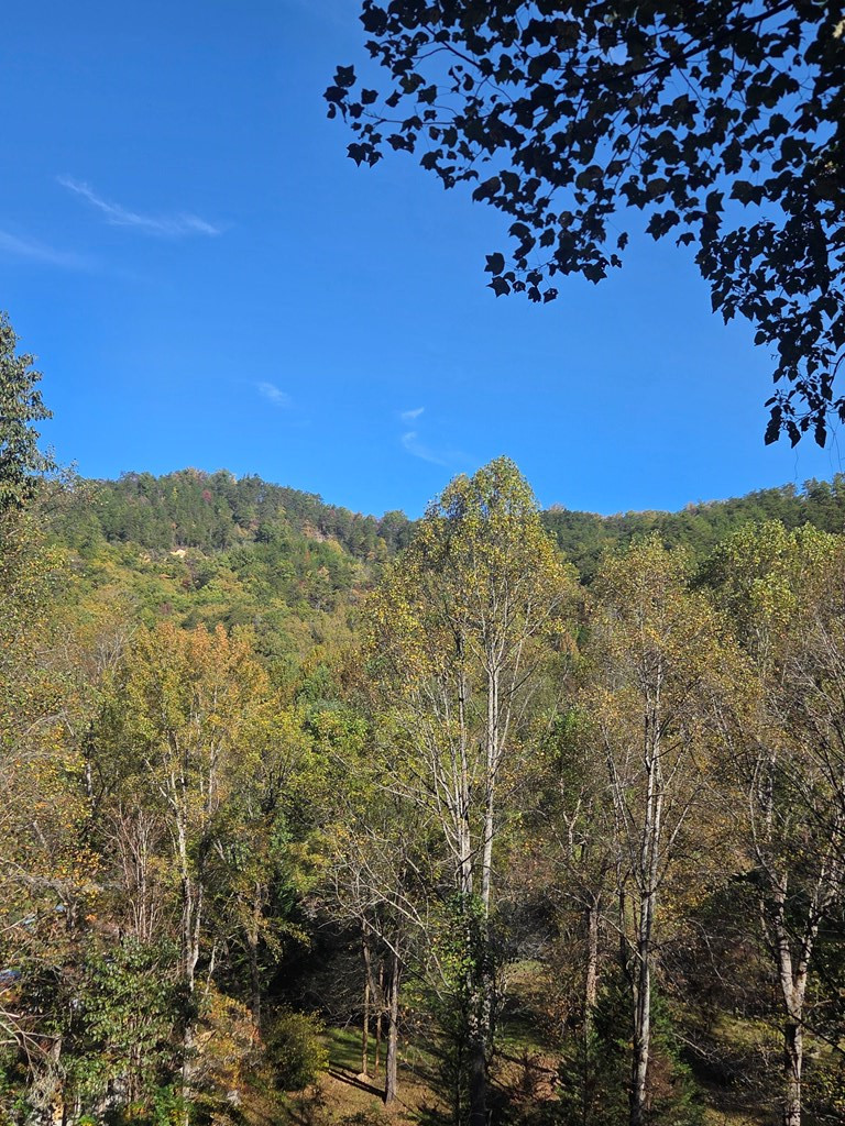 0 Lords Way Andrews, NC 28901 - Photo 14 of 14