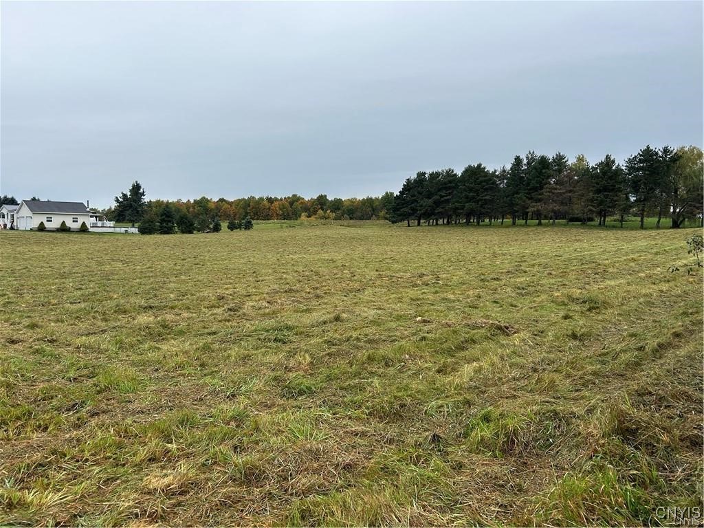 0 Plank Road Calcium, NY 13616 - Photo 2 of 11