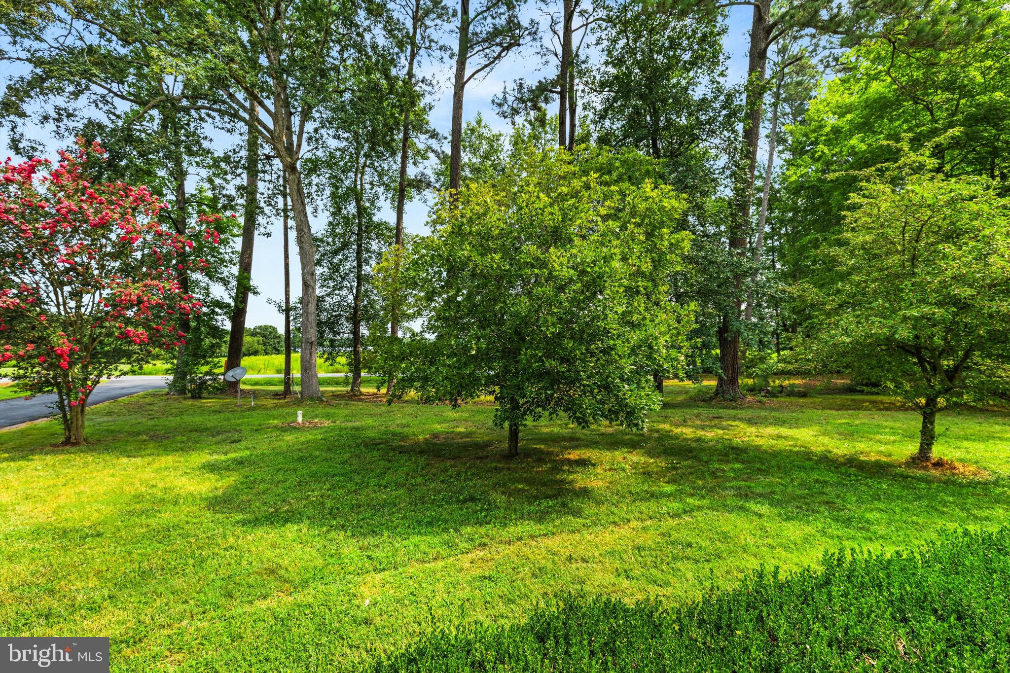 3520 Sheephouse Road Pocomoke City, MD 21851 - Photo 6 of 38 Tranquility