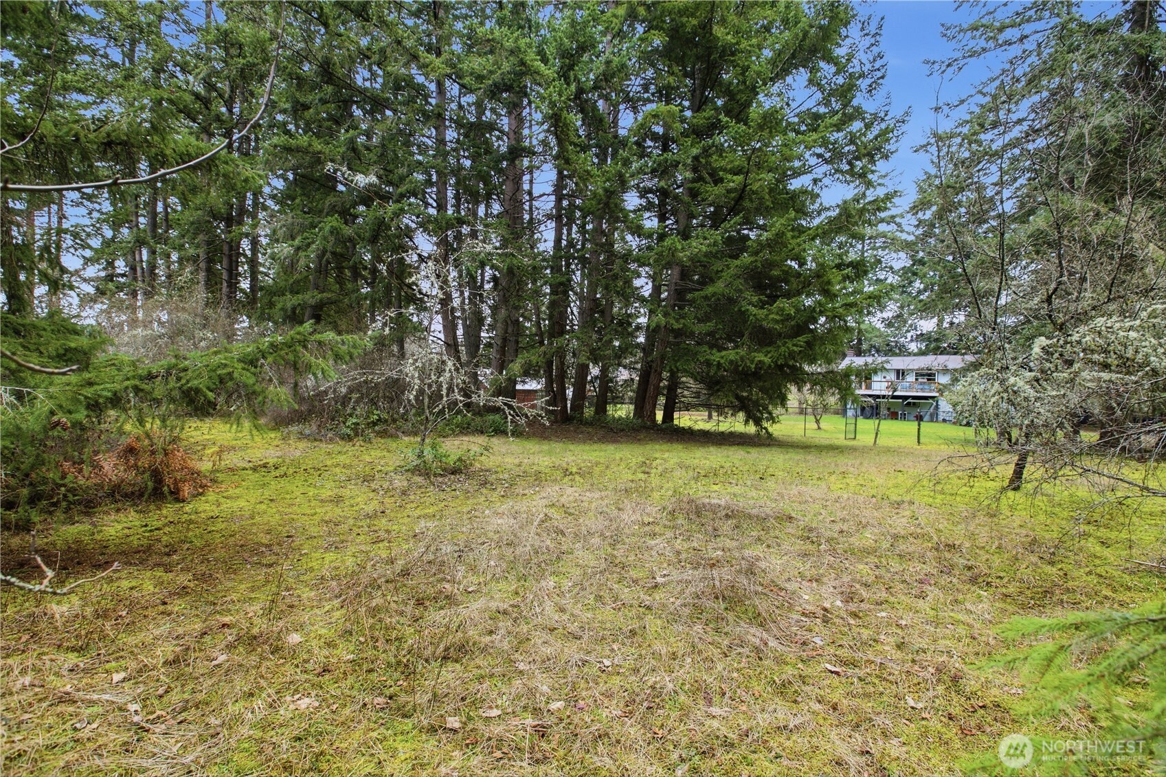 7316 Eustis Hunt Road Spanaway, WA 98387 - Photo 32 of 32 a view of outdoor space with trees all around