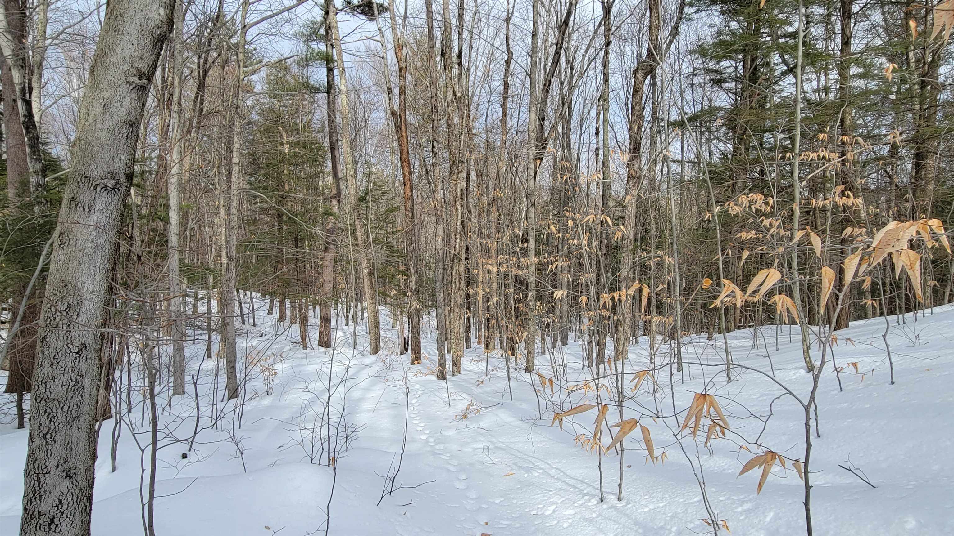 15 C Buzzell Ridge Road, Unit 2 Sandwich, NH 03227 - Photo 13 of 40 Gallery Image 13