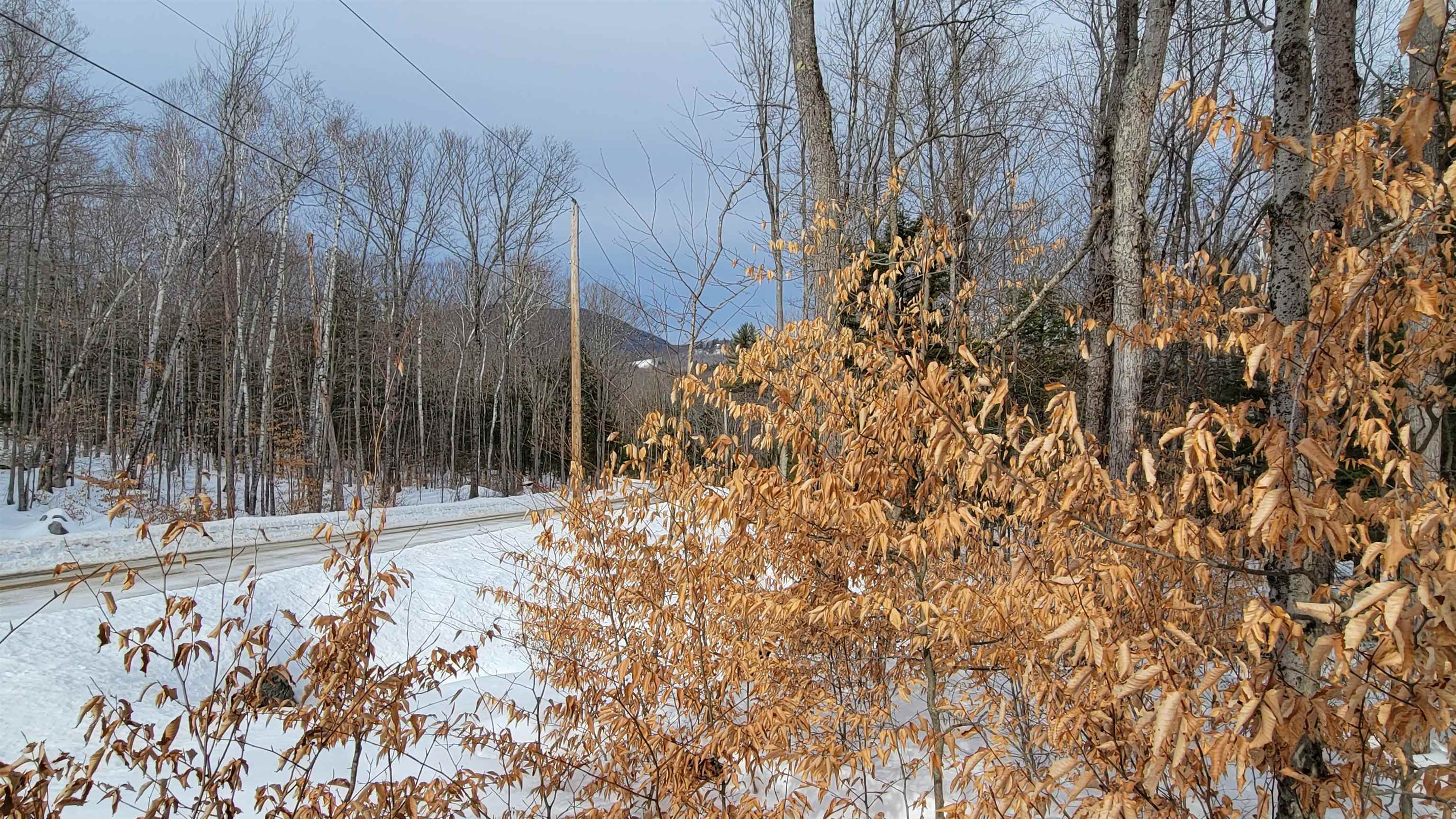 15 C Buzzell Ridge Road, Unit 2 Sandwich, NH 03227 - Photo 15 of 40 Gallery Image 15