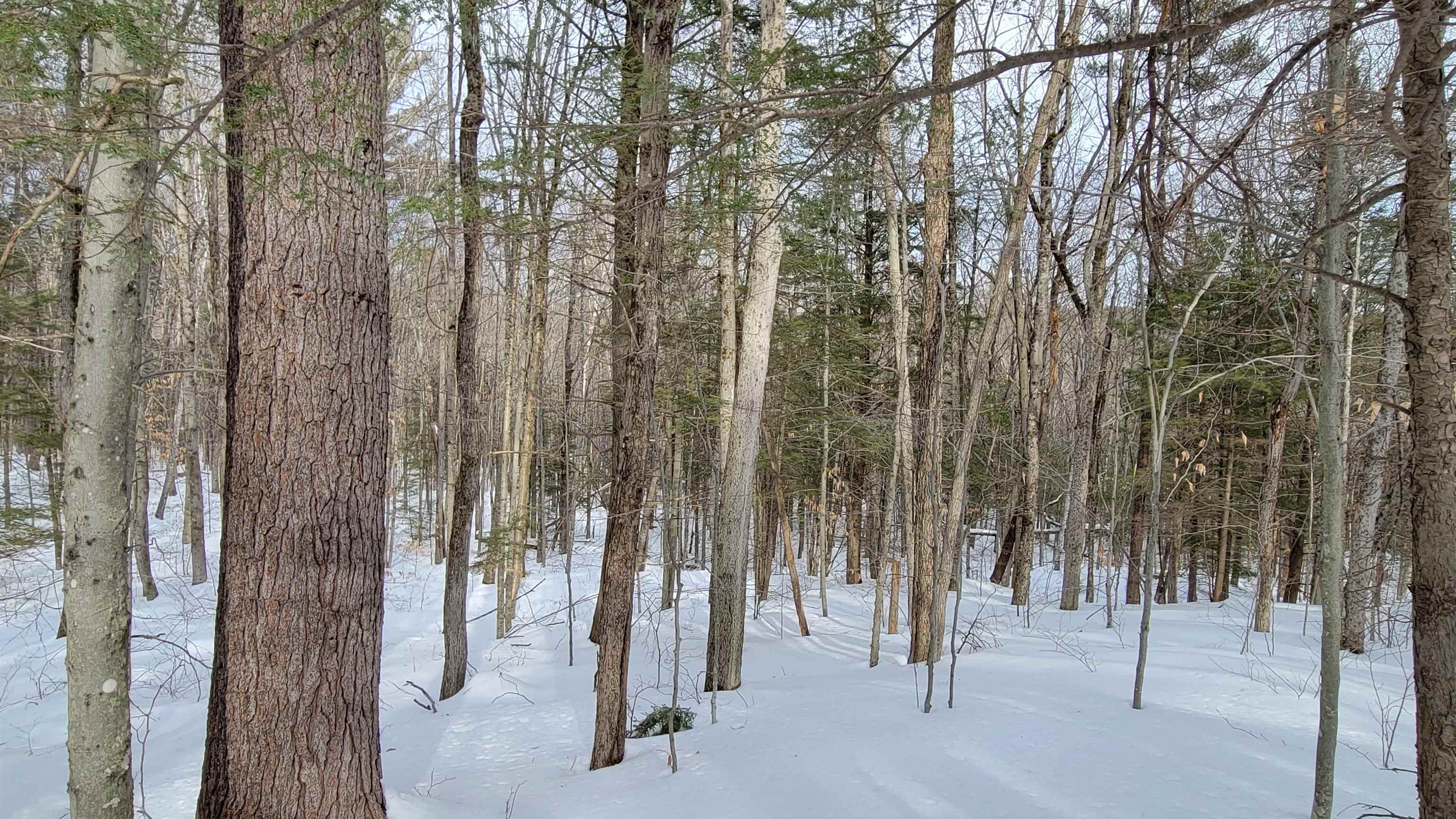 15 C Buzzell Ridge Road, Unit 2 Sandwich, NH 03227 - Photo 7 of 40 Gallery Image 7