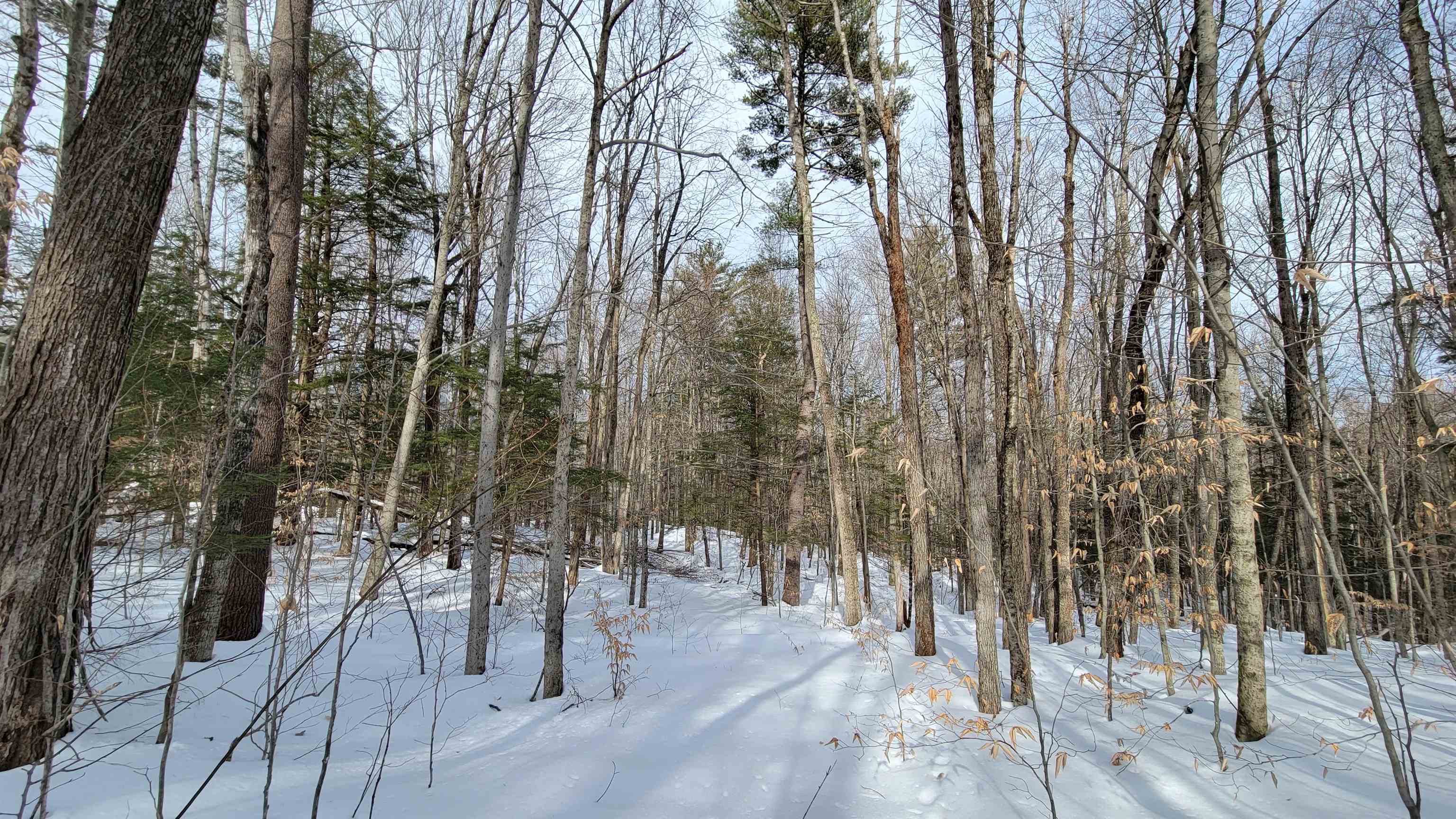 15 C Buzzell Ridge Road, Unit 2 Sandwich, NH 03227 - Photo 8 of 40 Gallery Image 8