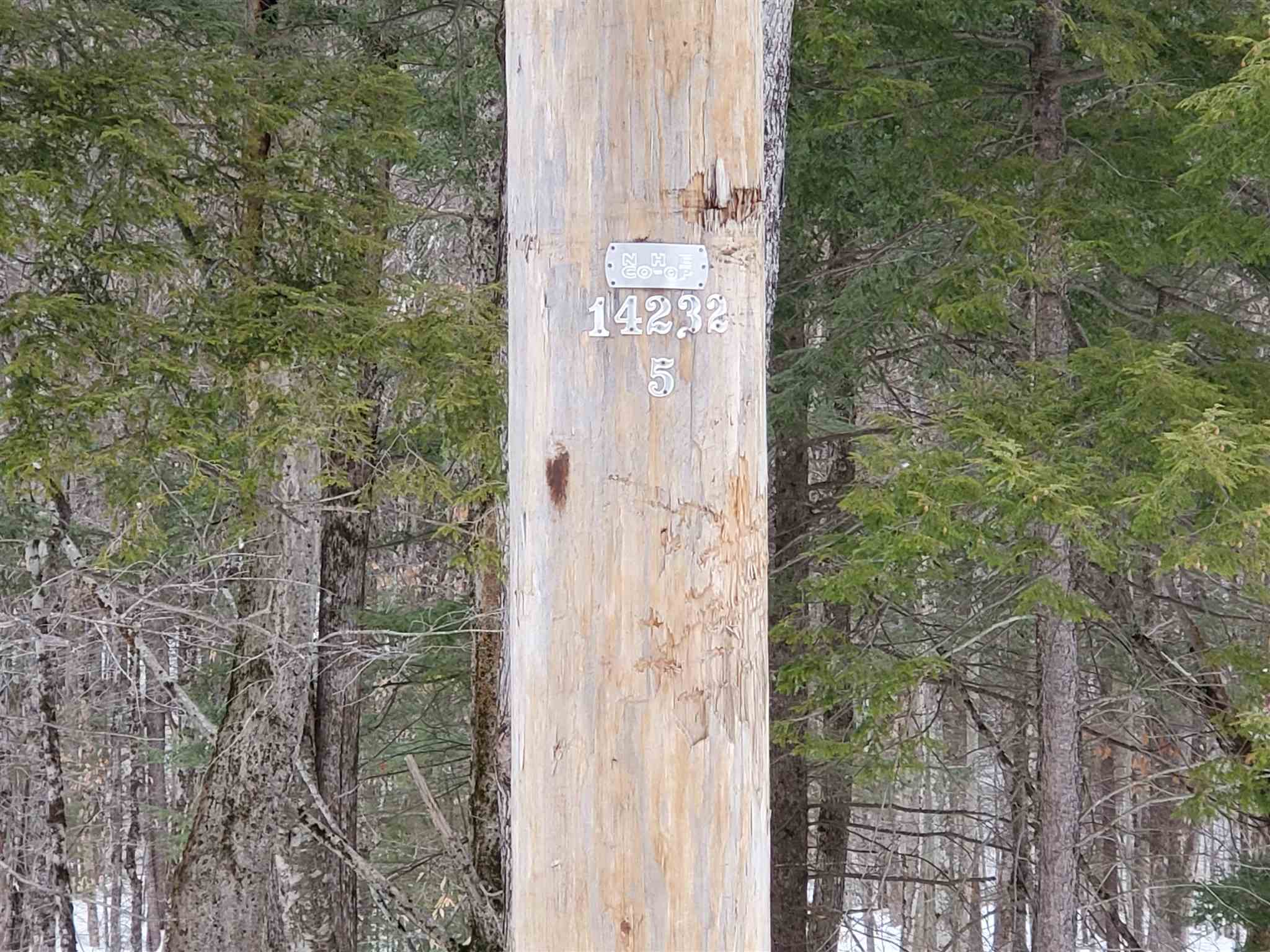 15 C Buzzell Ridge Road, Unit 2 Sandwich, NH 03227 - Photo 9 of 40 Gallery Image 9