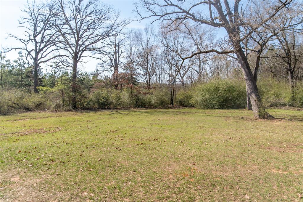 5215 Highway 7 Center, TX 75935 - Photo 31 of 37 View of green lawn