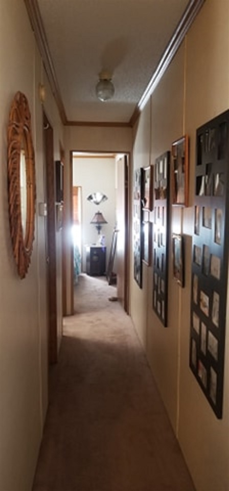 6101 West Phelps Road Manton, MI 49663 - Photo 10 of 24 1875922-11.JPG