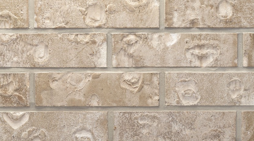 18727 Citrange Bend Way Manvel, TX 77578 - Photo 2 of 9