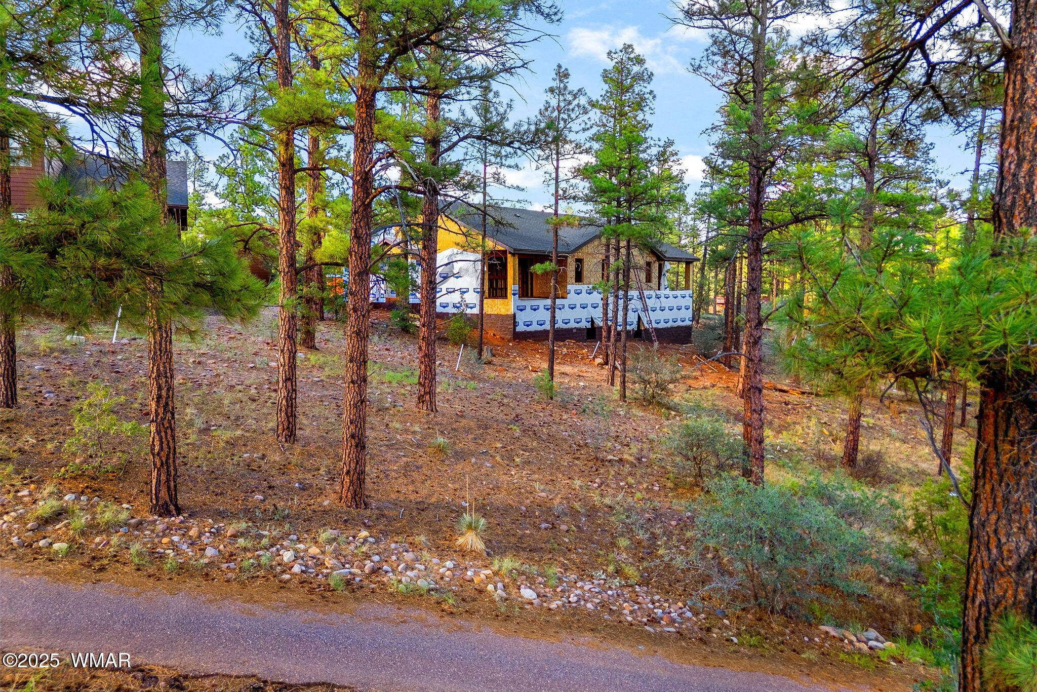2711 West Villa Loop Show Low, AZ 85901 - Photo 5 of 16 3738-VillaLoop-ShowLowAZ-5