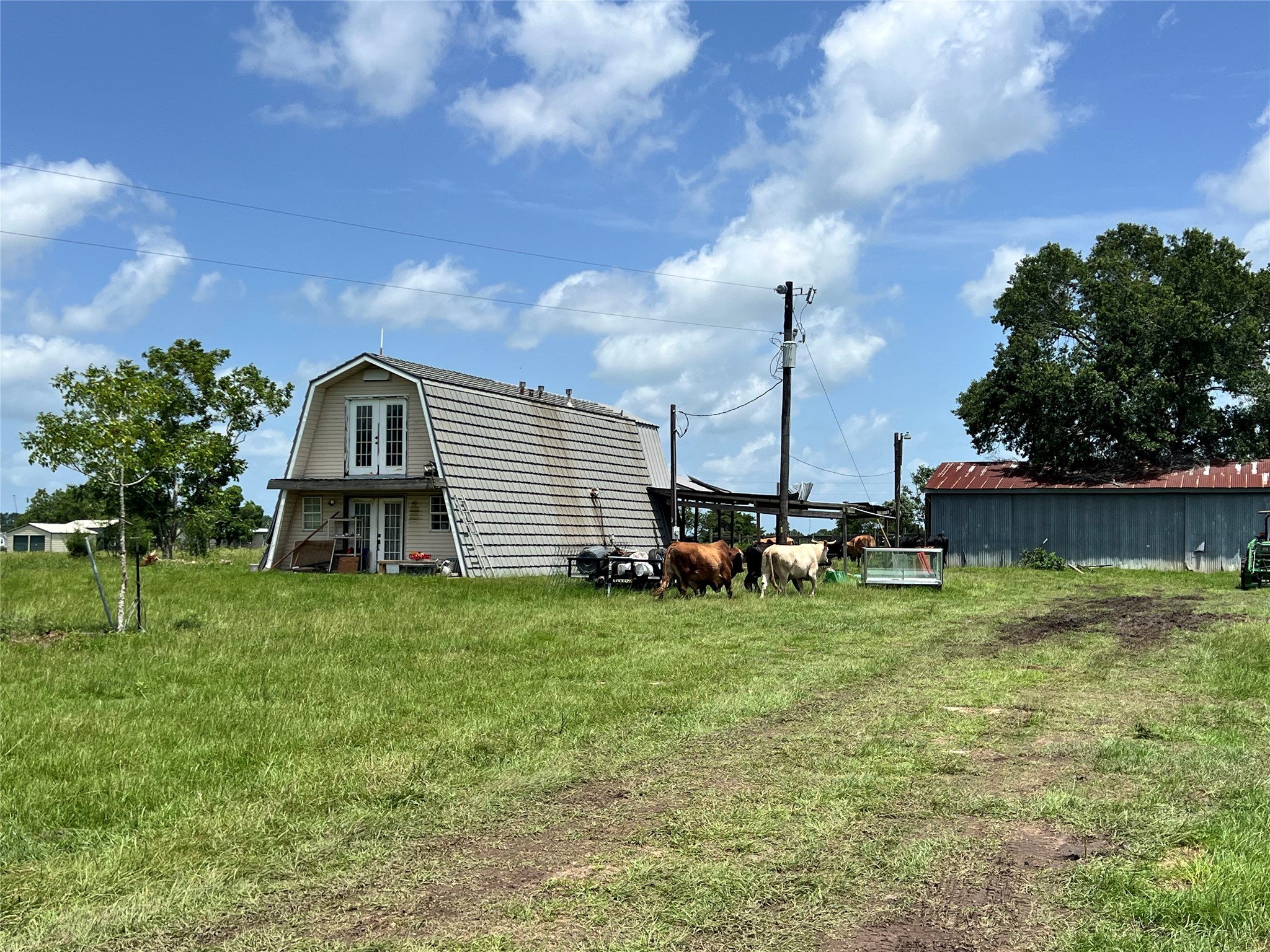 20573 Fontenot Lane Hempstead, TX 77445 - Photo 26 of 32 Charming rural property featuring a unique barn-style house perfect as you build your forever home. The expansive green field is perfect for livestock, with cows grazing nearby. A large metal shed offers additional storage, all set against a backdrop of trees and open sky. Ideal for those seeking a tranquil country lifestyle.