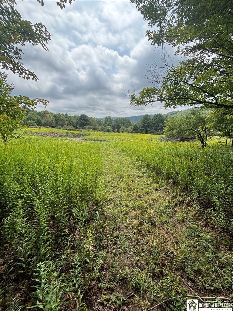 Swain Hill Road Andover, NY 14806 - Photo 19 of 44 Gallery Image 19