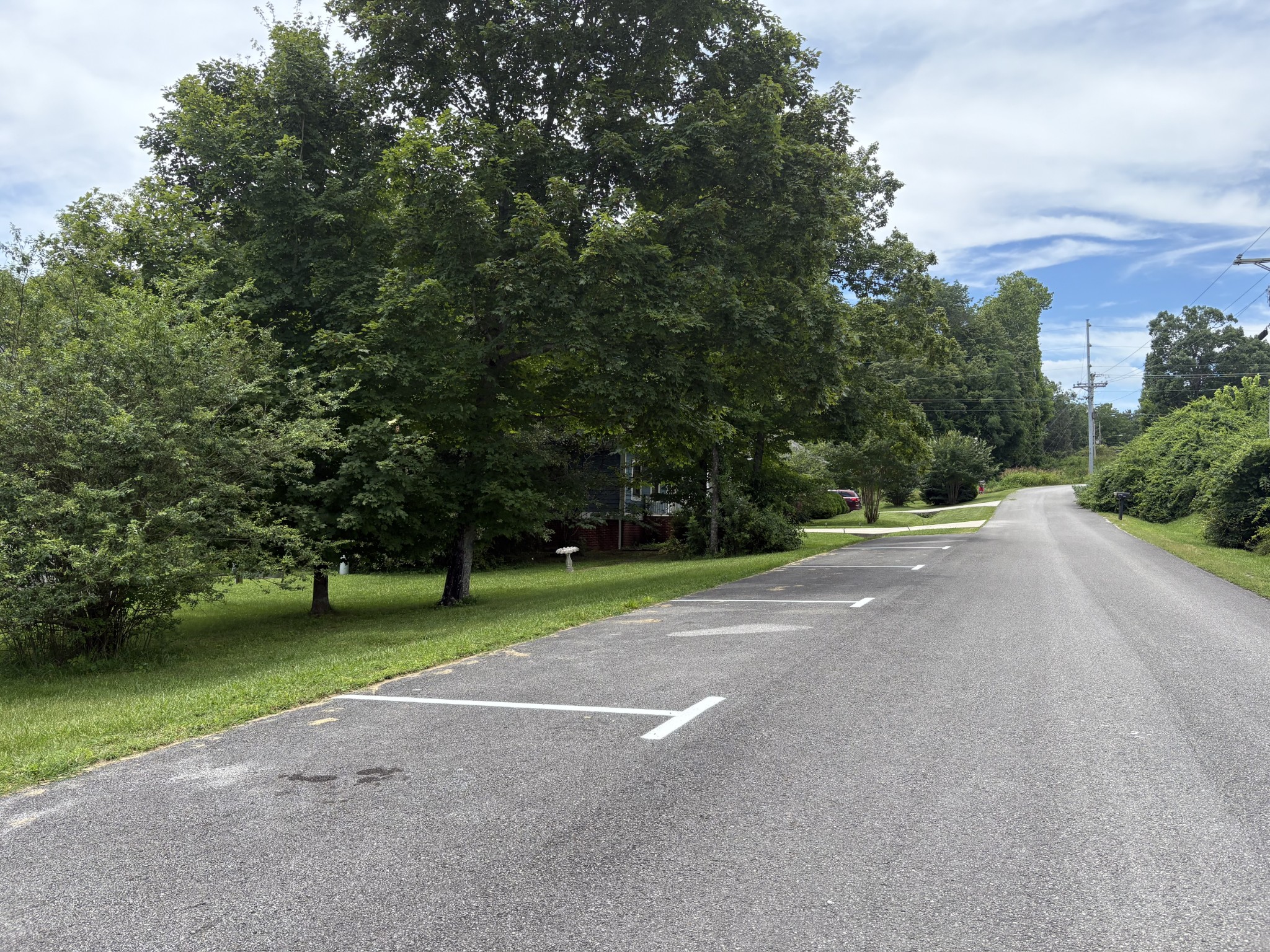 111 Reed's Lane Sewanee, TN 37375 - Photo 2 of 24 a view of a park with large trees