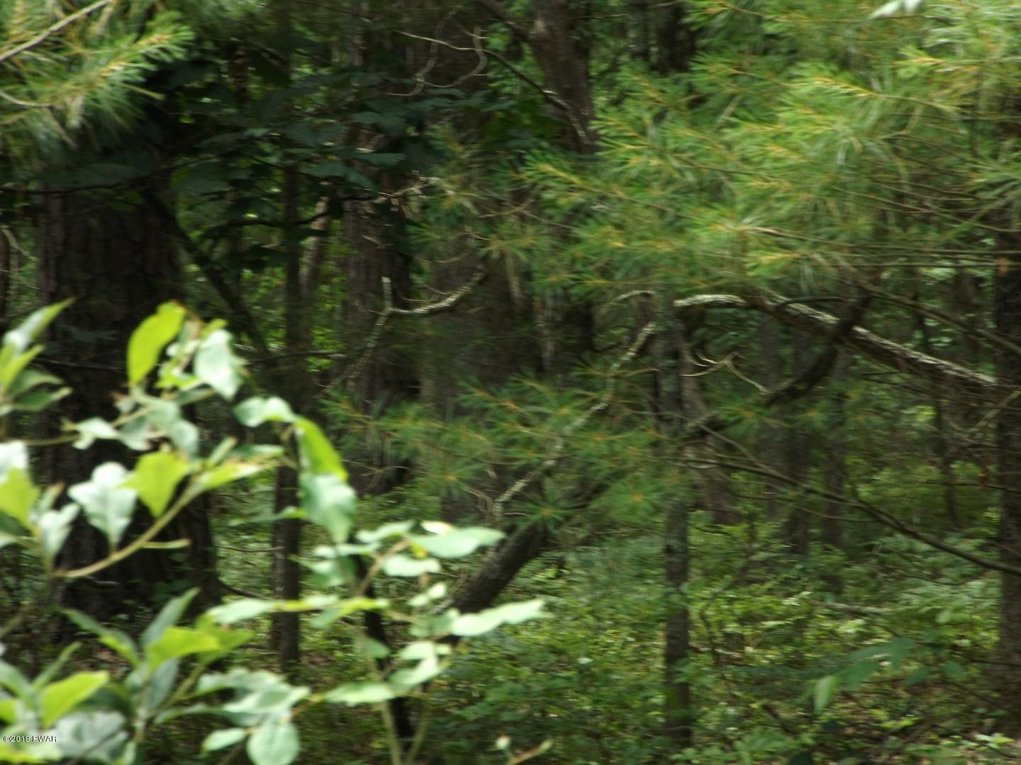 Lot 8 Engvaldsen Road Hawley, PA 18428 - Photo 8 of 8