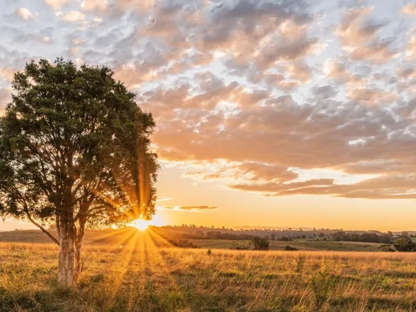 a view of a street with a big yard and large trees