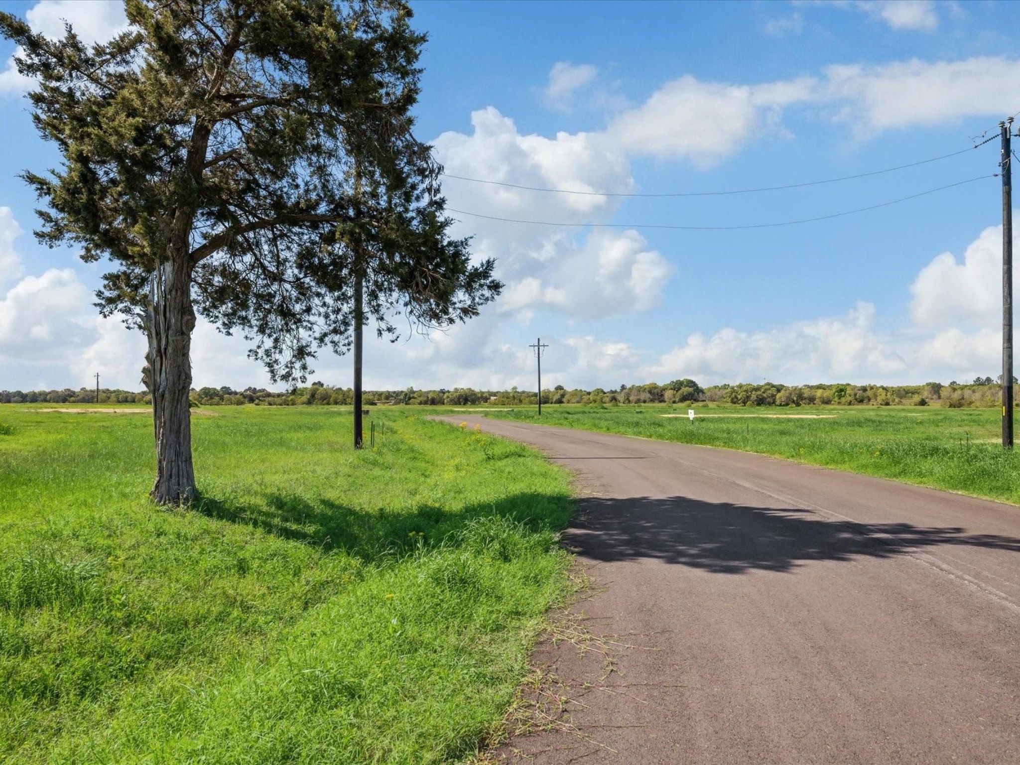 Lot 35 Ridgeview Drive Cat Spring, TX 78933 - Photo 4 of 18 a view of a garden with an tree